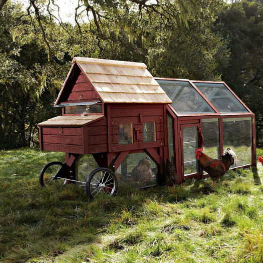 alexandria-chicken-coop-run-3