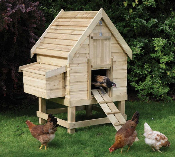Small-Chicken-Coop