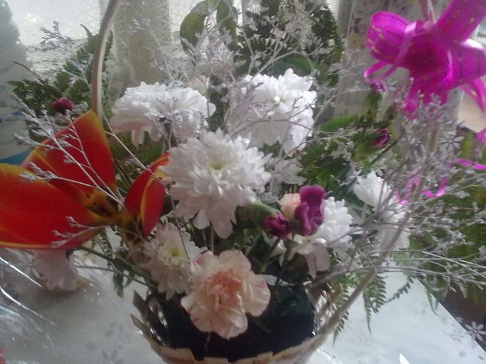  - flori primite de 1si8 martie