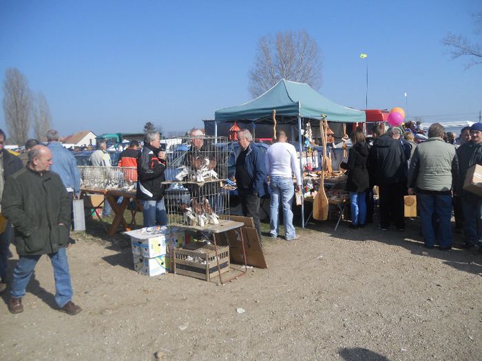 DSCN3967 - MONOR 2014
