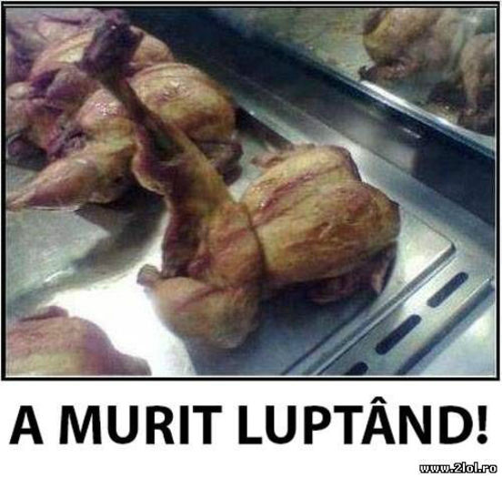 gaina_prajita-poze_haioase_animale-a_murit_luptand