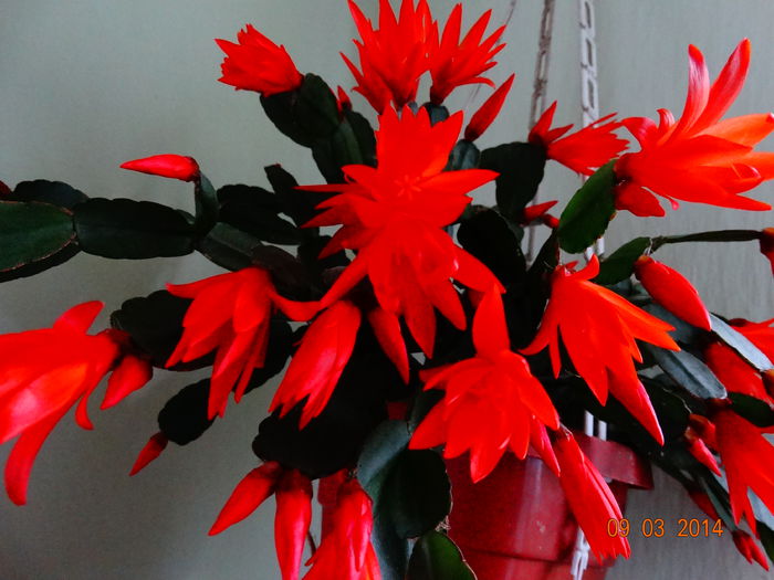 DSC01050