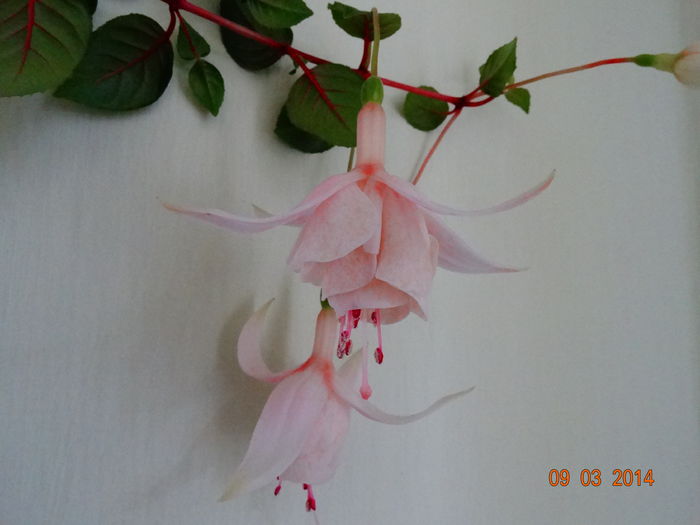 DSC01046