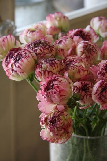 960035_374644869306761_1492486644_n