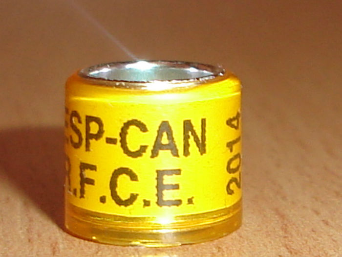ESP 2014 CAN RFCE - SPANIA