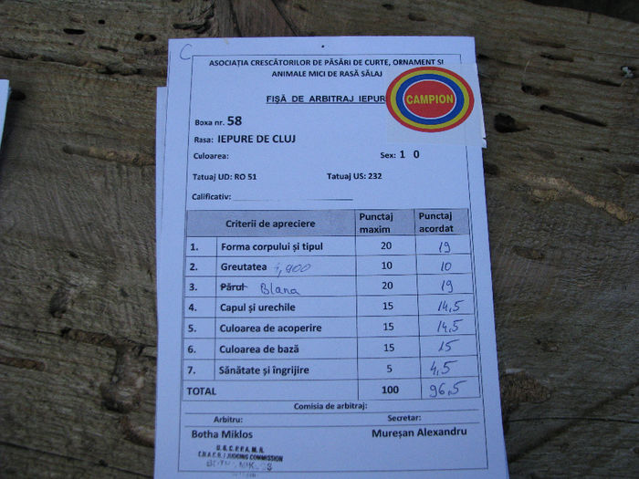 IMG_4971 - FISE ARBITRAJ