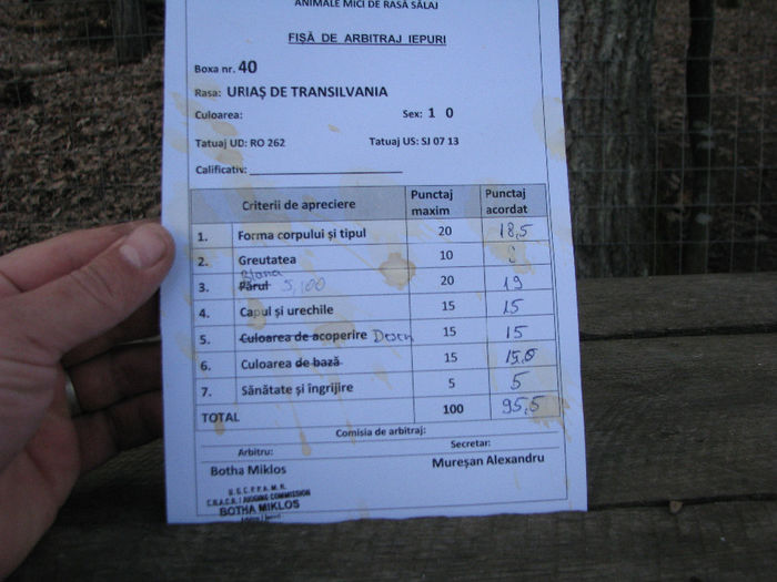 IMG_4936 - FISE ARBITRAJ