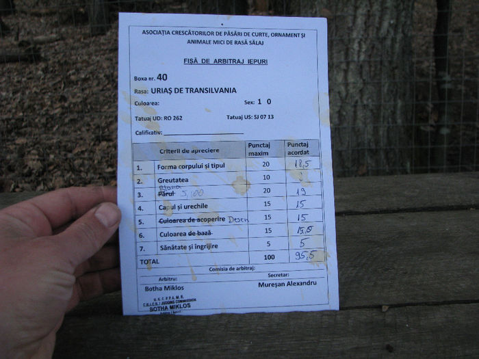 IMG_4937 - FISE ARBITRAJ