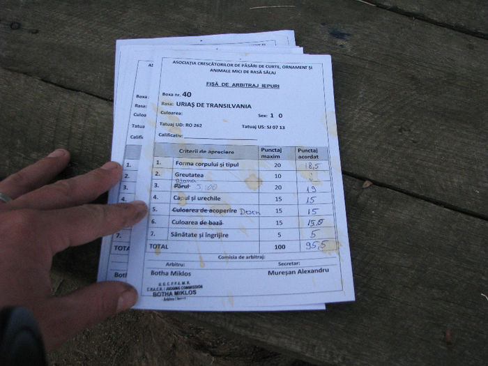 IMG_4938 - FISE ARBITRAJ