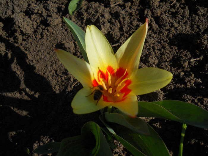 DSCN0641_014