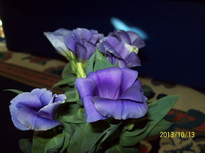 103_3895 - flori