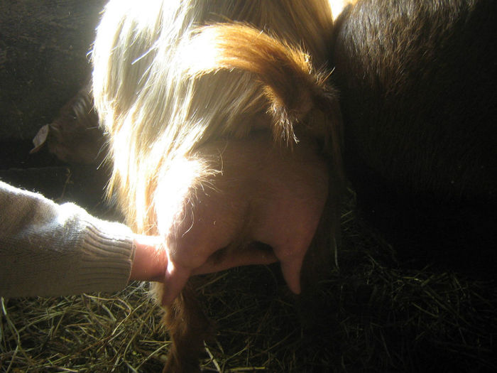 poze 004; a doua fatare
