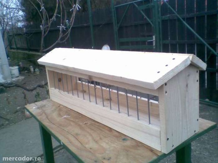 7902296_2_644x461_hranitori-porumbei-fotografii