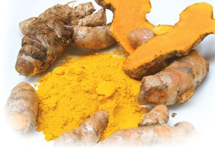 curcuma longa Turmeric