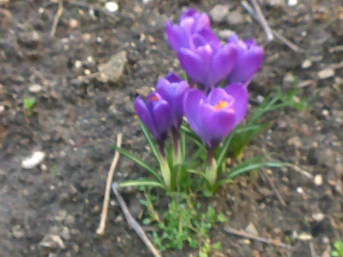 120320141661