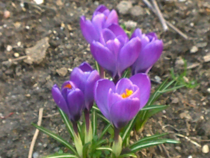 120320141662