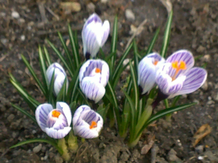 120320141663