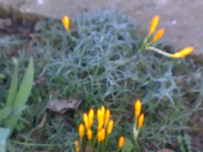 120320141667