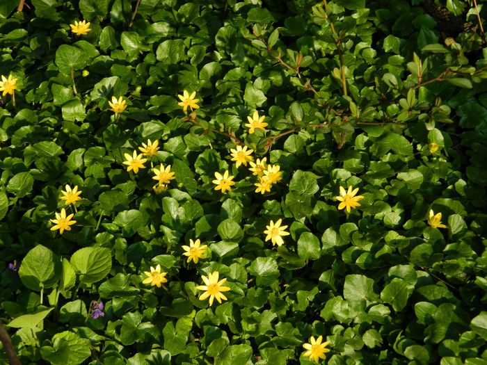 DSCN3719 - MARTIE_2014