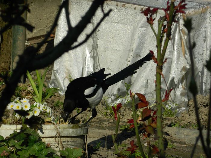 DSCN3799 - MARTIE_2014