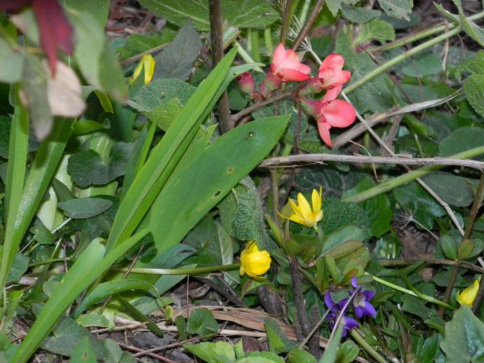 DSCN3803 - MARTIE_2014