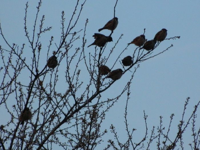 DSCN3842 - MARTIE_2014