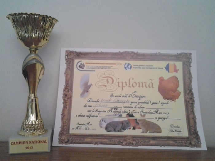 20140202_171325 - CUPE SI DIPLOME