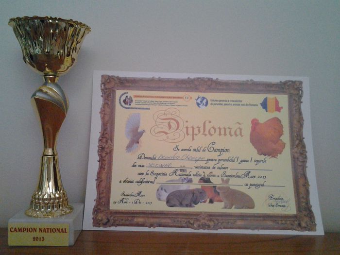 20140202_171040 - CUPE SI DIPLOME