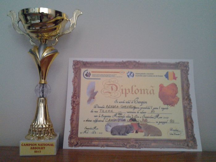 20140202_171216 - CUPE SI DIPLOME