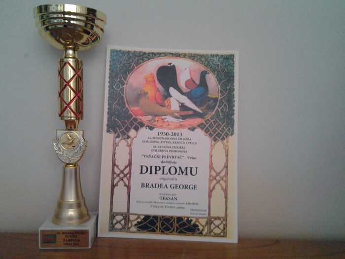20140202_170939 - CUPE SI DIPLOME