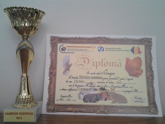20140202_171127 - CUPE SI DIPLOME