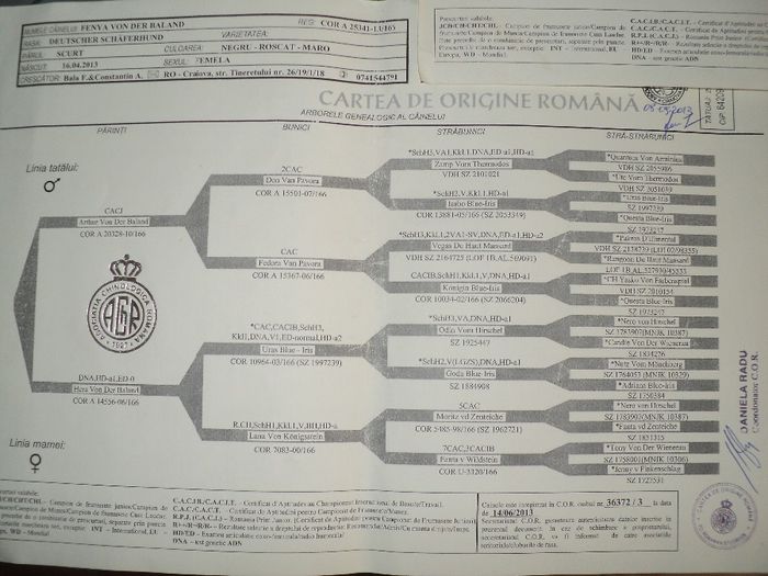 FARYNA  VON DER BALAND