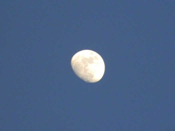 DSCN3874 - MARTIE_2014
