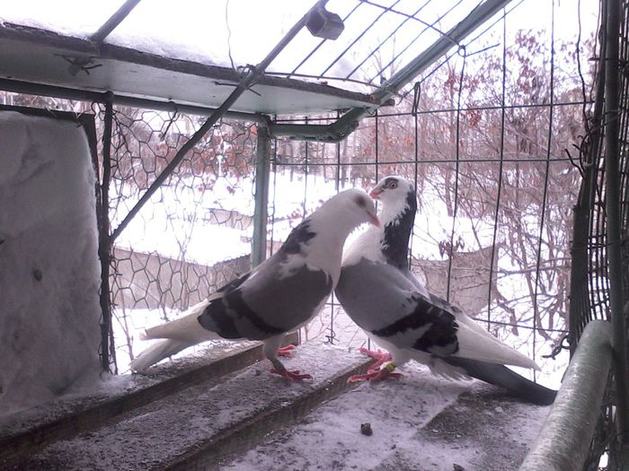 IMG_20140204_132152 - 2014