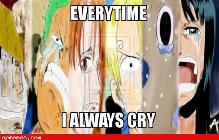 I really cried - One Piece 2