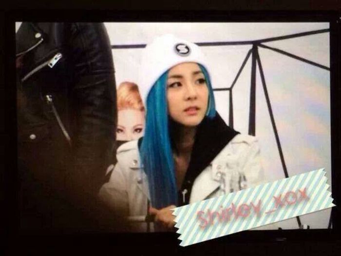 cuttie dara