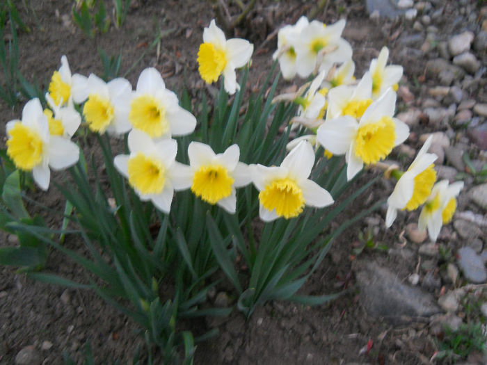 DSCN0681_004