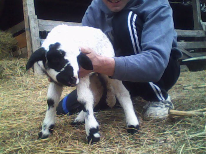 IMG_20140316_124128_1