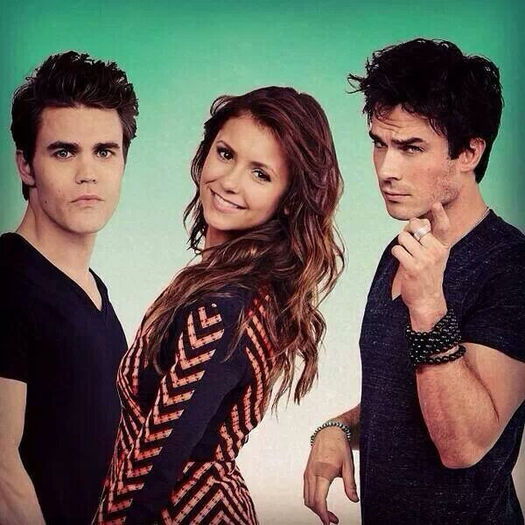 Vampire Diaries - The Vampire Diaries