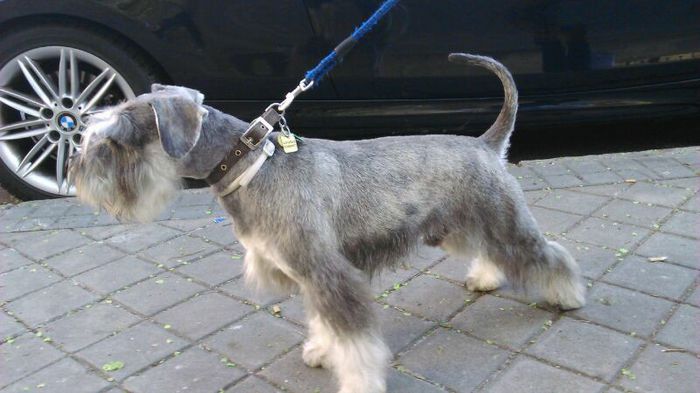 IMG-20140317-WA0006 - Enzo