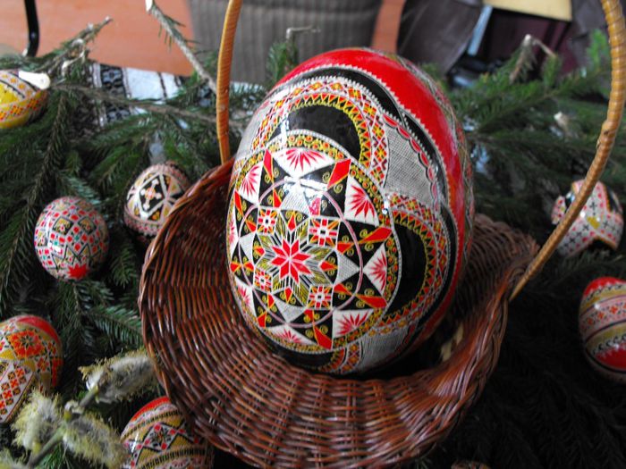 466828_2539736392595_31499906_o