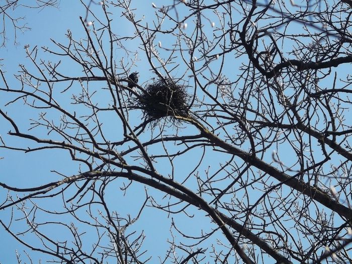 ......SUNT SI PE PAMANT