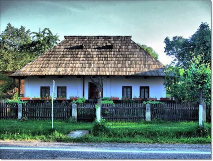 524780_500131336715158_882271765_n