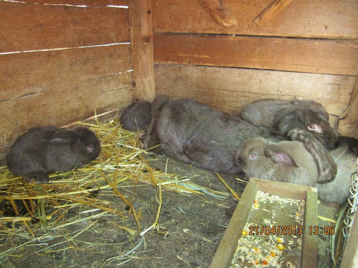 IMG_0472 - ARHIVAAA 2013-2014