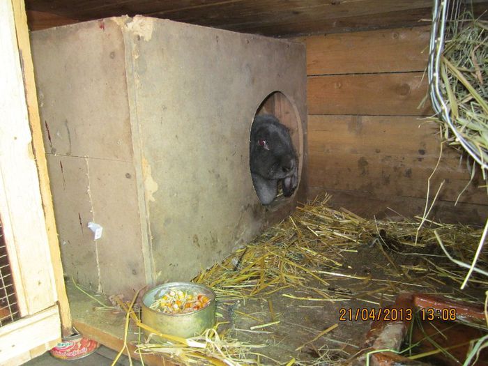 IMG_0480 - ARHIVAAA 2013-2014