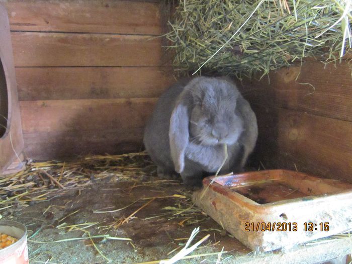 IMG_0507 - ARHIVAAA 2013-2014