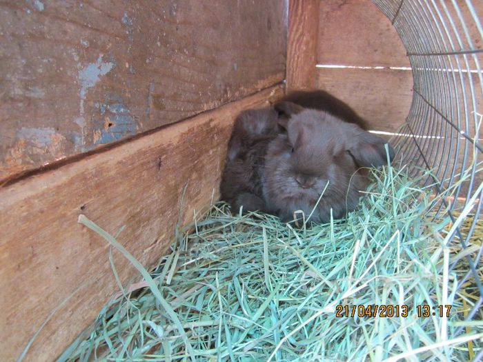 IMG_0516 - ARHIVAAA 2013-2014