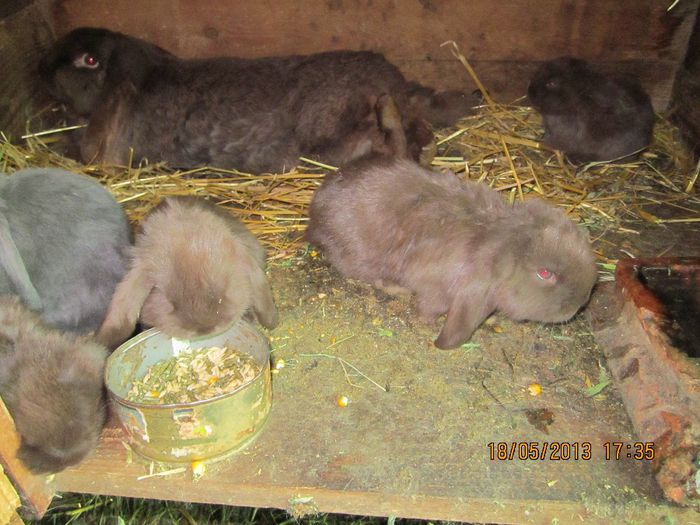 IMG_0679 - ARHIVAAA 2013-2014