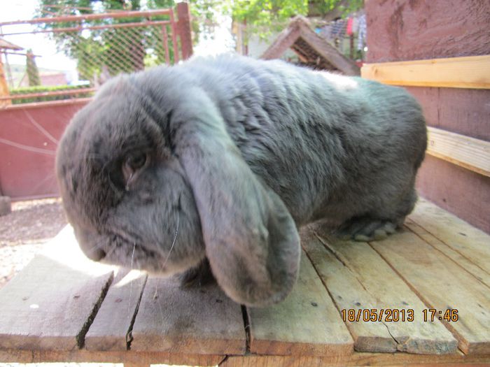 IMG_0709 - ARHIVAAA 2013-2014