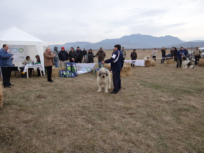 DSC05791 - Expo Mioritic Club Romania